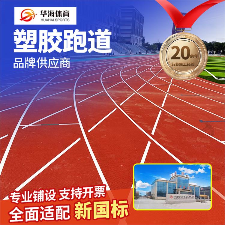 庆阳市塑胶颗粒预制型橡胶跑道 - 厂家